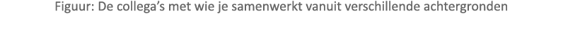 Figuur: De collega’s met wie je samenwerkt vanuit verschillende achtergronden
