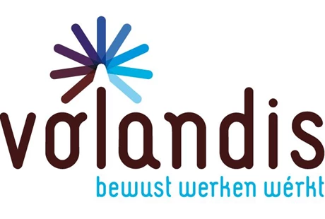 Volandis logo