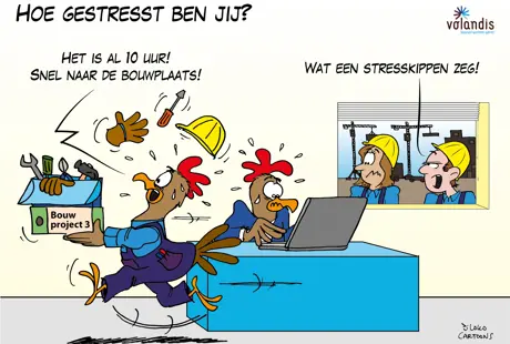 Stresskip