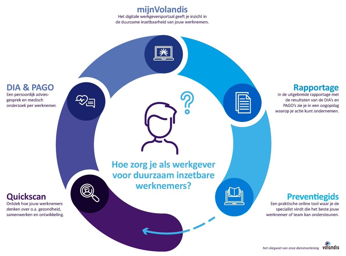 mijnvolandis